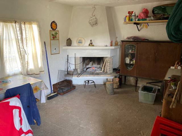 Terreno agricolo in Vendita - immagine 3 di 14