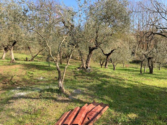 Terreno agricolo in Vendita - immagine 11 di 14