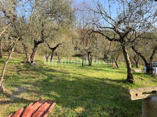 Terreno agricolo in Vendita - immagine 12 di 14