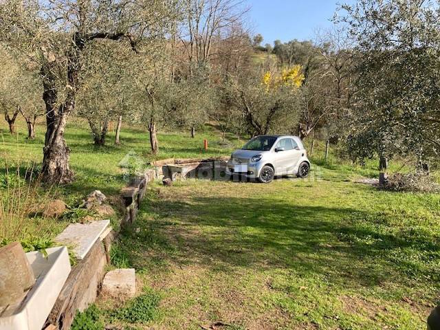 Terreno agricolo in Vendita - immagine 14 di 14